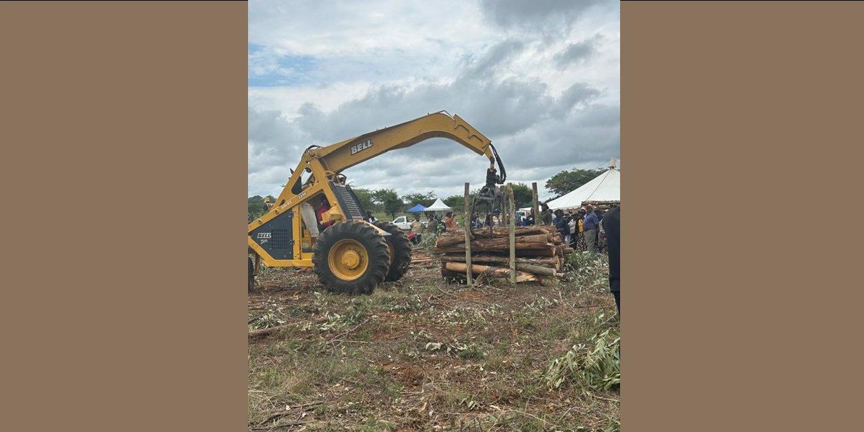 Planting Trees to Turn Idle Land into Productive Farmland