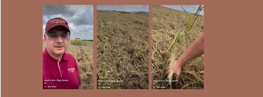 Brazil-No Till
