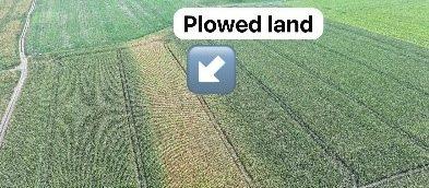Choosing Sustainable Approaches to Farming Improves Resilience When Disaster Hits