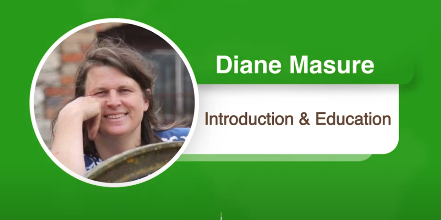 Interview Series: Diane Masure, Introduction & Education