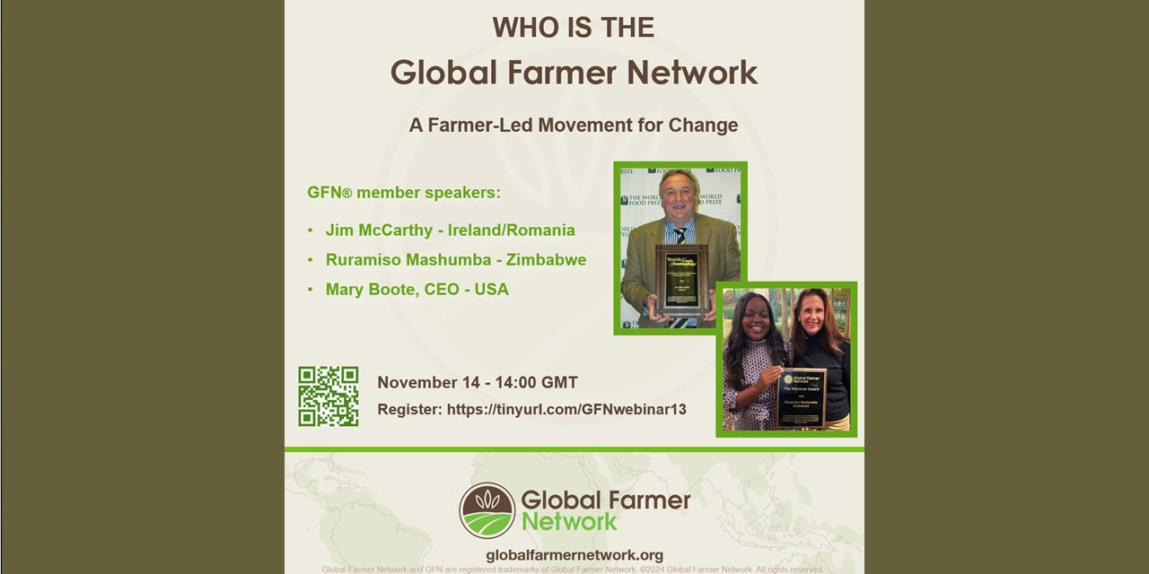 Free webinar - Who is the GFN?