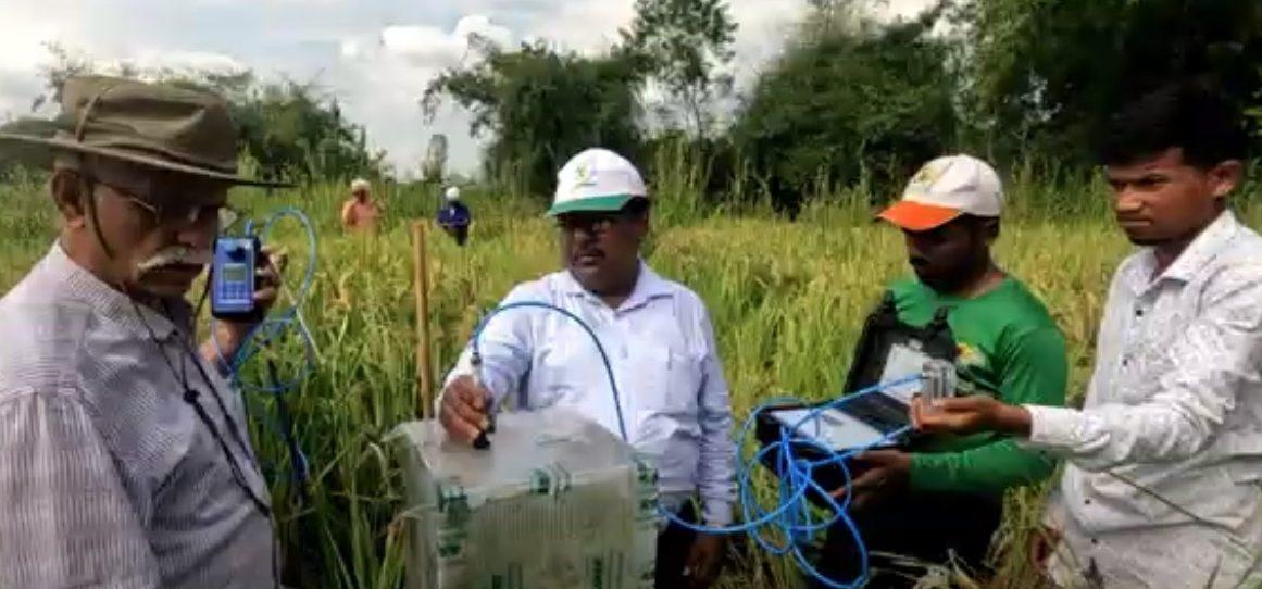 Proof of Concept: Regenerative Technology Reduces Methane Emission in Rice Production