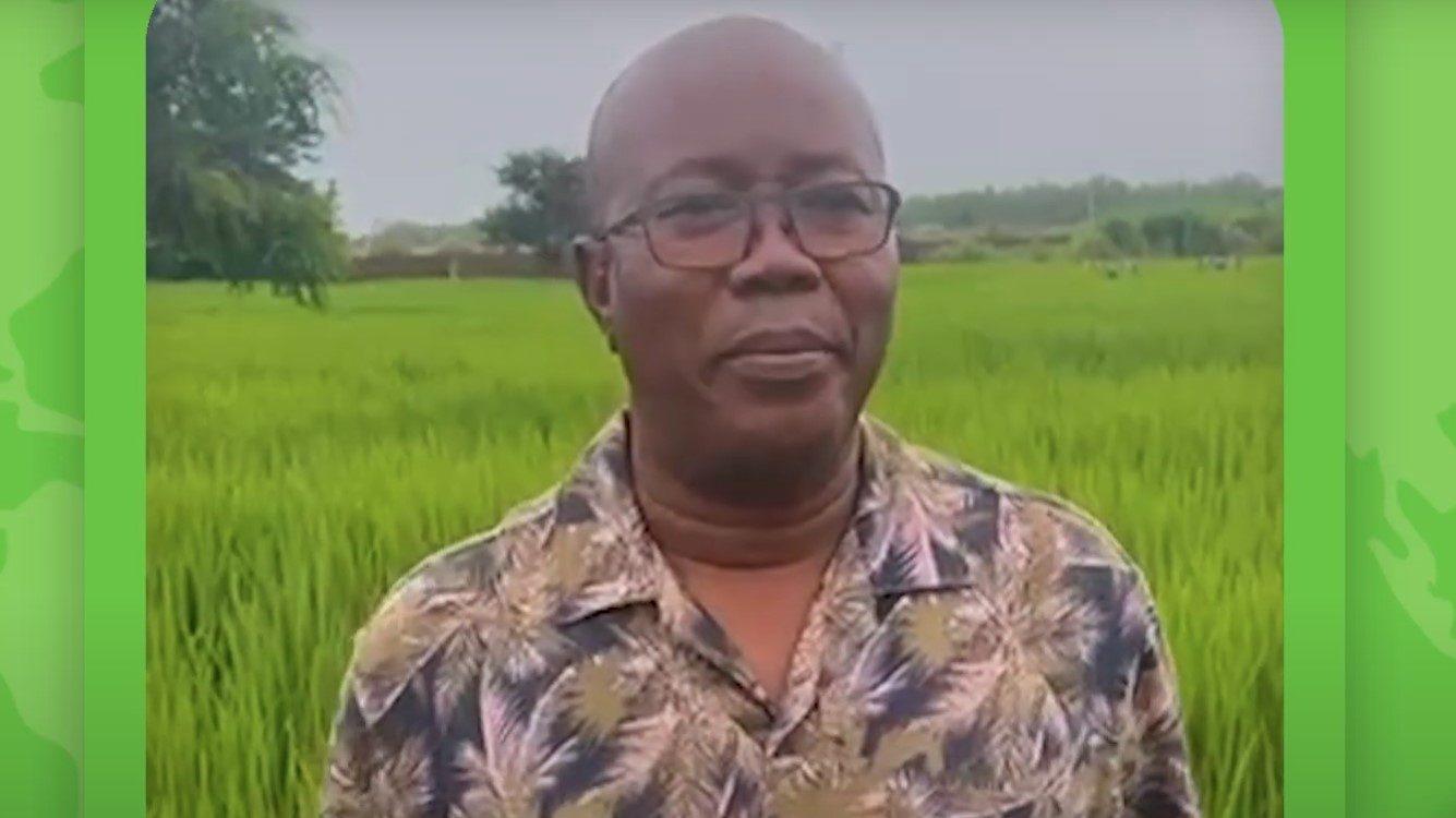 Mali-Rice