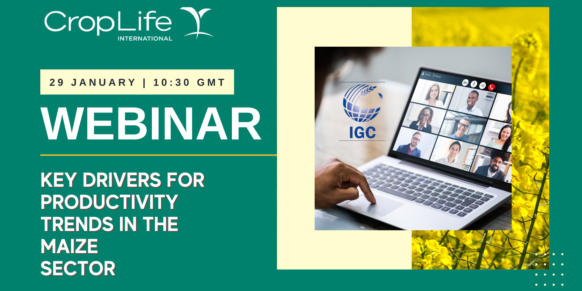 January 29th Webinar: Key Productivity Drivers in Maize