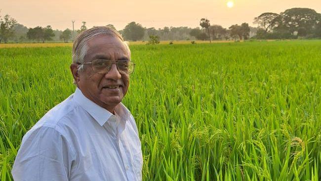 Participating in a Sustainable and Prosperous Future for Rice Cultivation