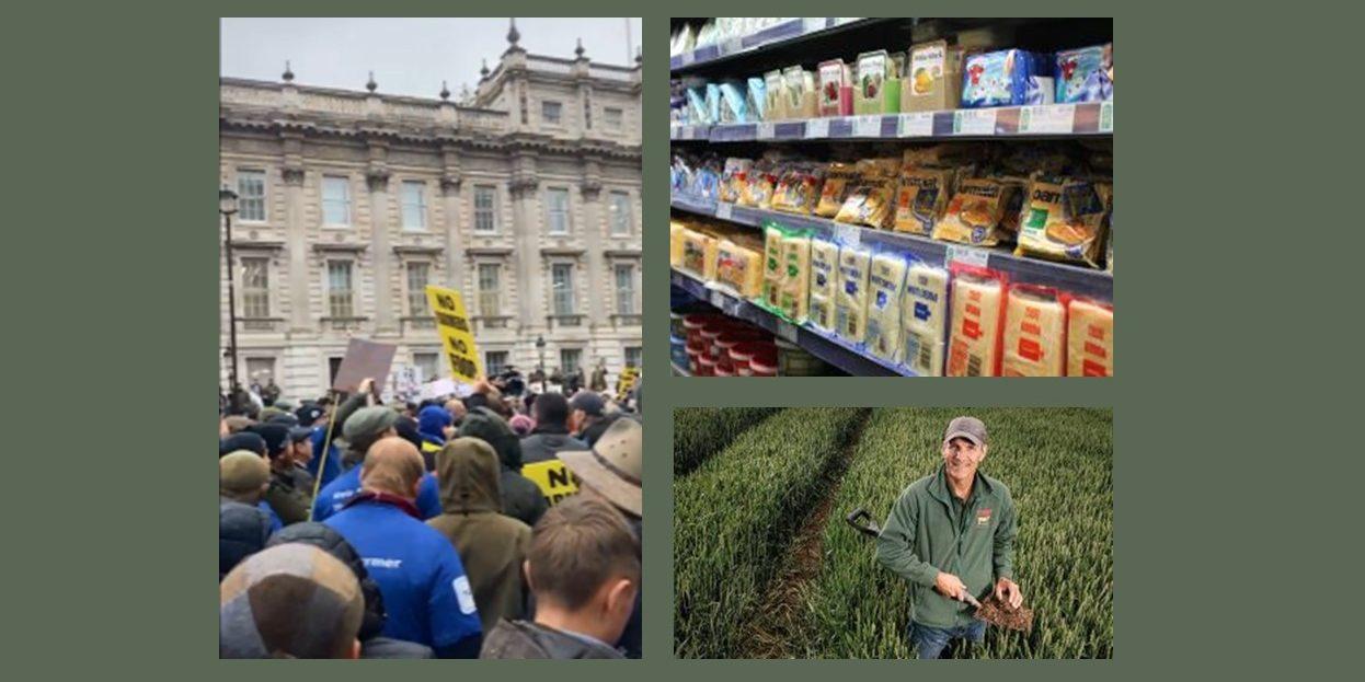 Supermarkets and Farmers Standing Side by Side In Support of UK Agriculture