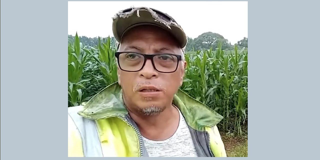 Philippines-Bt Corn