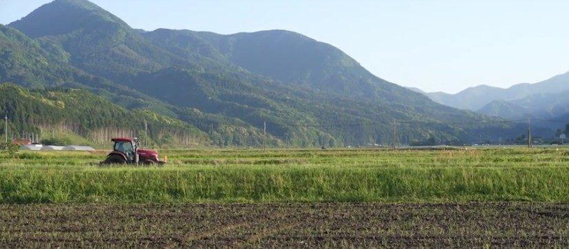 Farmer Interview Series: Shuichi Tokumoto