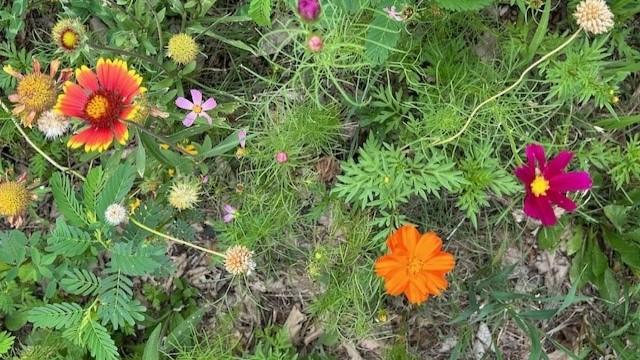 Protecting and Sharing the Beauty and Bounty of our Land