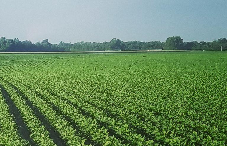 As Seen in The Boston Globe: GFN Member Tim Keegan on Farming and Tariffs