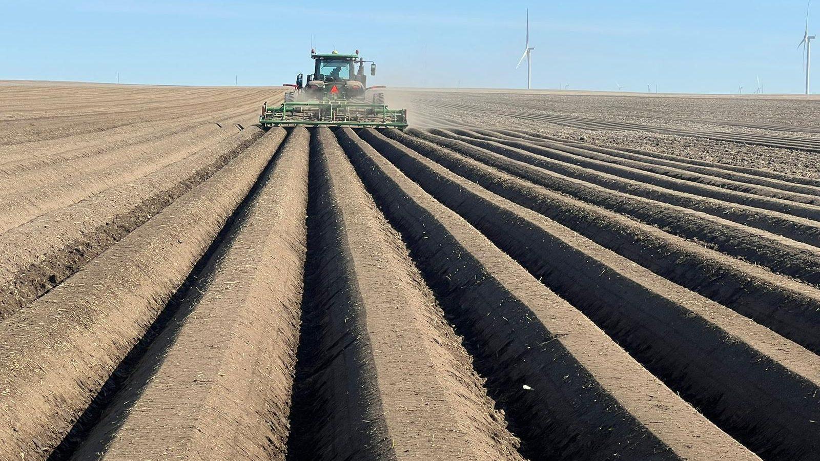 The Modern Potato Success Story Behind Your French Fry