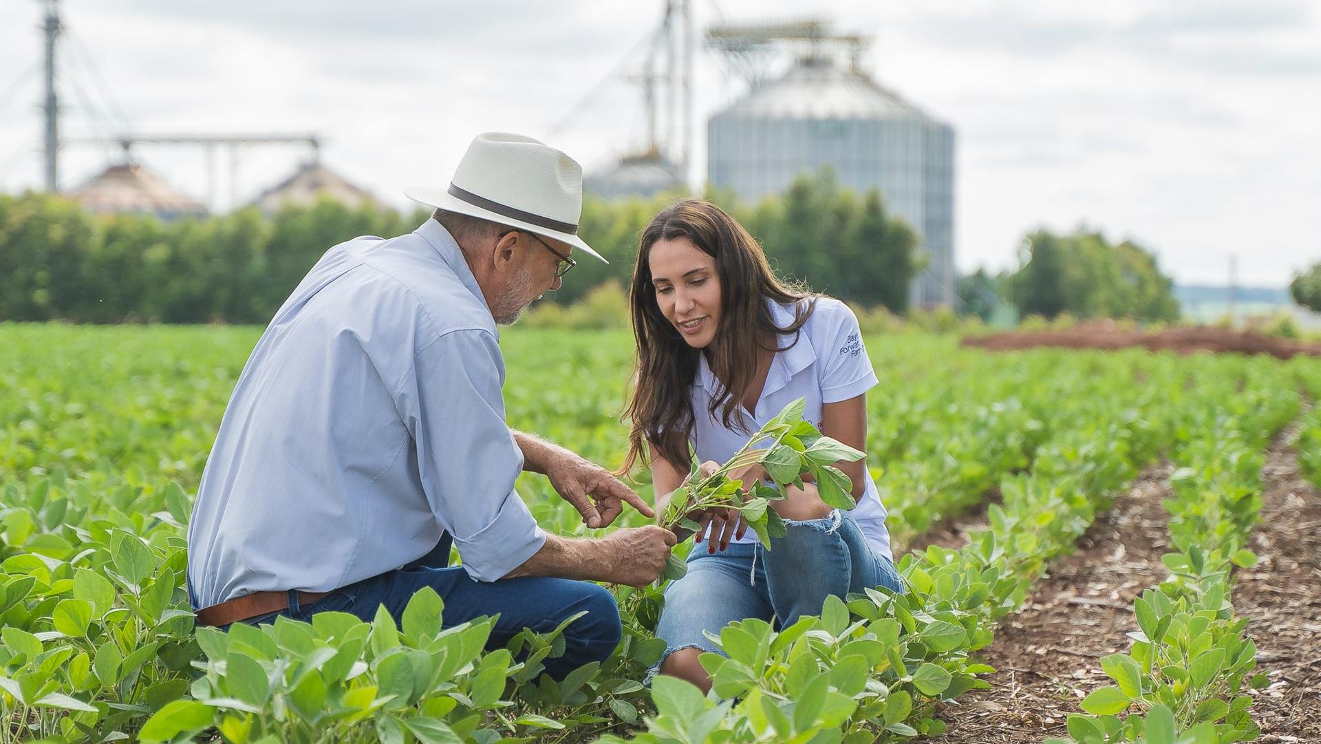 Showcasing Regen Ag On a Living, Working Farm: Sustainability has become our Brand