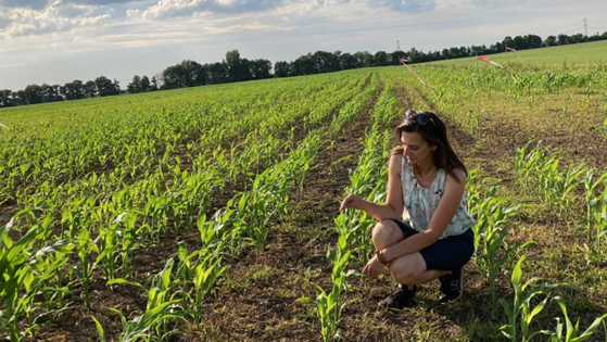A Farm Rooted In a Thousand Year-Old Inheritance – Regenerated for the Future