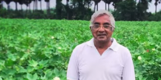 India-Rasing Greengram