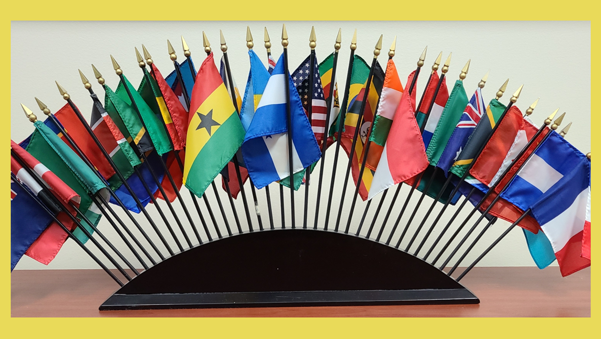 What is the Global Farmer Network?