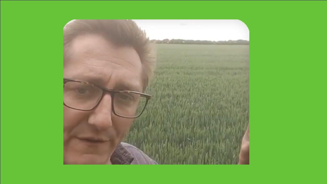 UK-Winter Grains, Sheep, Spring Barley
