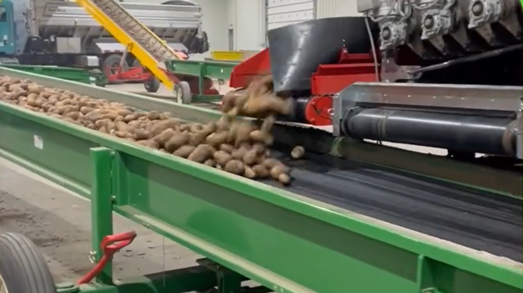 Canada-Potatoes
