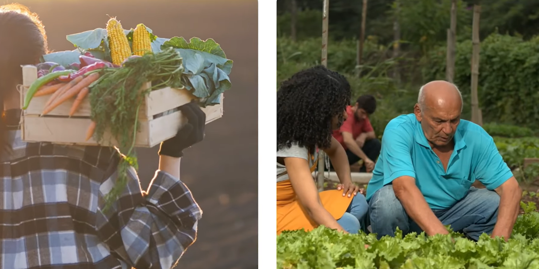 Farmers in the Americas Share Perspectives