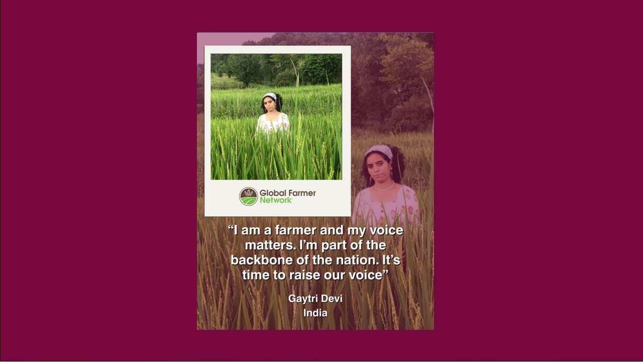 Celebrating Voices: Gaytri Devi, India