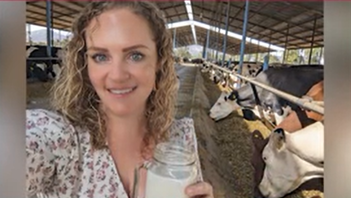Voices From the Barn